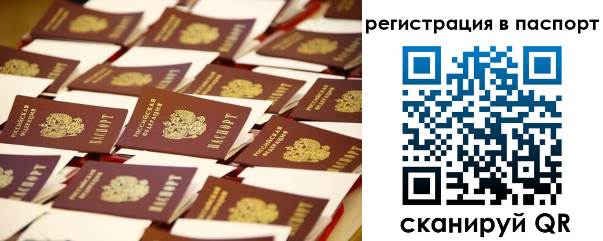 прописка гарантия в Пласте
